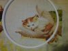 IMG_20210103_174825.thumb.jpg.2aa3053cb53d89f7726578becdfed18c.jpg