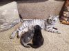 IMG_20210109_130316.thumb.jpg.6278b73006968deaef1522f12477df2d.jpg
