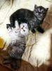 IMG_20210109_152354_416.thumb.jpg.4b9f7a058d7cc9979cb727b6ee562dfc.jpg