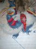 IMG_20210109_153552.thumb.jpg.5fa1adf47c469294480e2e160a51b6da.jpg