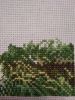 IMG_20210109_192713.thumb.jpg.d7e3518bc9b7135aa069e9881fd80607.jpg