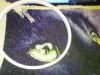 IMG_20210110_210753.thumb.jpg.cd6f1d59869dc6677f8b1144aab46e3c.jpg