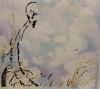 IMG_20210112_011753.thumb.jpg.7f1e8096b496350cb1a2df98c52a63ea.jpg