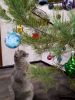 IMG_20210114_015457.thumb.jpg.0da3330b0c617b67c979cd13e2feffb2.jpg
