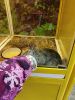 IMG_20210115_115408.thumb.jpg.79be8e4bee4f63541ccd3622f480a6ce.jpg