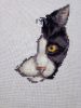 IMG_20210116_184657.thumb.jpg.cbb01b81e05dd336e113d975fb855eb2.jpg
