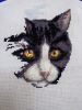 IMG_20210121_031849.thumb.jpg.b368de307390a6bfec35372742b1fc12.jpg