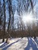 IMG_20210122_132019.thumb.jpg.c3b2687a1b74bf0e995ce17a0bc9dce7.jpg