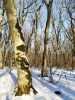 IMG_20210122_133139.thumb.jpg.7f07caed9aa748178745f491d6e2a611.jpg