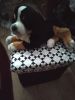 IMG_20210124_091928.thumb.jpg.640271779da9819c34d4893483dd6834.jpg