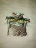 IMG_20210124_210748.thumb.jpg.ae5569aa0df31c8d9be140b80eb1d39c.jpg