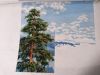 IMG_20210124_225053.thumb.jpg.14a349c92892a8e59d8bb0d65d0b042d.jpg