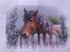 IMG_20210125_075902.thumb.jpg.c147b7a042fdd6fa17f69664288873e2.jpg?1611551847593