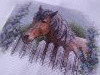 IMG_20210125_075907.thumb.jpg.5545903c900f22d50ea00b5d08fc3e06.jpg?1611554287917