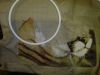 IMG_20210126_202420.thumb.jpg.404749bbf9cf868fe33361647ed57b5f.jpg