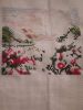 IMG_20210129_071545.thumb.jpg.237bed216b4f9f9a7d165e9a9dc2714d.jpg