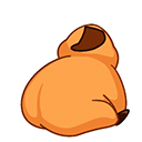 MelietheCavy_19.thumb.gif.cab962936cce7d0a1bb185fce45bfd52.gif