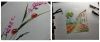 MyCollages.thumb.jpg.c633b423a2dce48a99203fe5ade40c72.jpg
