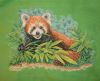 Panda7.JPG.ff547b877b956a3fde76536f54f3d05c.thumb.JPG.cad63a7656295e28915d990f9eaef74b.JPG