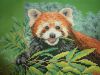 Panda8.JPG.2ab8f3cb5d553ea3bea5fa4a86422d01.thumb.JPG.7d2b5bb4651f55c6042d667108fa80eb.JPG
