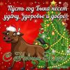 newyear0116.jpg