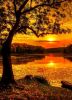 pi08aow93nkw4cowgw8g0sws4o8g4g.thumb.jpg.6b290af87b6d86c109a065097fb45ed5.jpg