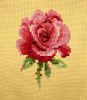 1.thumb.jpg.26ccf7837b0381bdd842a5e9cae30bf9.jpg