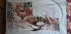 1722400152_20210214_104929(1).thumb.jpg.6dbe0ccd402579884ea6716e68a8be19.jpg