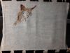 20180831_082220.thumb.jpg.44efd6030d57e8d4545757a3432aa24b.jpg