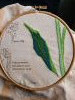 20200912_073047.thumb.jpg.5b7ea84bc210d8bcfbe038ffbc6f0022.jpg?1612715553058