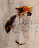 20201202_183343.thumb.jpg.fa7a5195b12593c10e01ceb1ce8b3af5.jpg?1612717383090