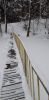 20210116_151726.thumb.jpg.3c74d00bae27d112b686c45c9ff3e261.jpg