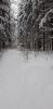 20210116_152002.thumb.jpg.1eb99af28553ccea40f3c851de856cdf.jpg