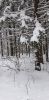 20210116_152031.thumb.jpg.41d4f48f64056ae514aff478926341bb.jpg