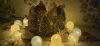 20210117_022216.thumb.jpg.10638de9c8a8c51792c21e41d2cb83a3.jpg