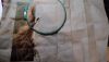 20210123_200135.thumb.jpg.9817646768a8eac5b5ff2f2f62d6d4b5.jpg