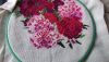 20210128_150115.thumb.jpg.ffe0b19714068e911623479af52fe9df.jpg