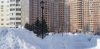 20210205_124345.thumb.jpg.764a4fa6f1195934aea022ec04f52238.jpg