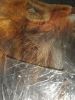 20210219_184943.thumb.jpg.8dea70ecb63db3ab334765a4c71debb5.jpg