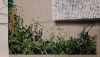 20210225_000458.thumb.jpg.4d63dd35a4520b159b4e27718dd2a382.jpg