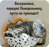 20210227_172554.thumb.jpg.110269edc35b5b0a21dd8ccf3271a3d6.jpg