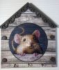 217289051_120_().thumb.JPG.7cf868c62aa9d7a42f7982a1409643cc.JPG