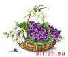 22218.thumb.jpg.3815099dcefdd92b4048b30e18e62fb8.jpg
