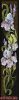 3462.thumb.jpg.c3ed79de27bc0f94d46c3f4d9a82e4cd.jpg