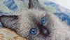 4.thumb.jpg.6be106733881ef195e9342cb68d3d8c7.jpg