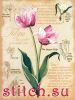 4420.thumb.jpg.aba55abab5b19757ed1254a95660cace.jpg
