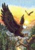 Dimensions 06759, Орлы (Eagles)