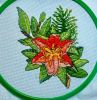 CCB3A875-1BB1-402E-BE90-09675811CDF3.thumb.jpeg.93c678afedb1bcbd8a10c01c74242b32.jpeg