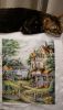 DSC00457.thumb.JPG.b1e0cf5028225bd37a0ecc464d1e6e72.JPG