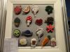 DSC03149.thumb.JPG.706a394708a6c358672b8b67308b570b.JPG